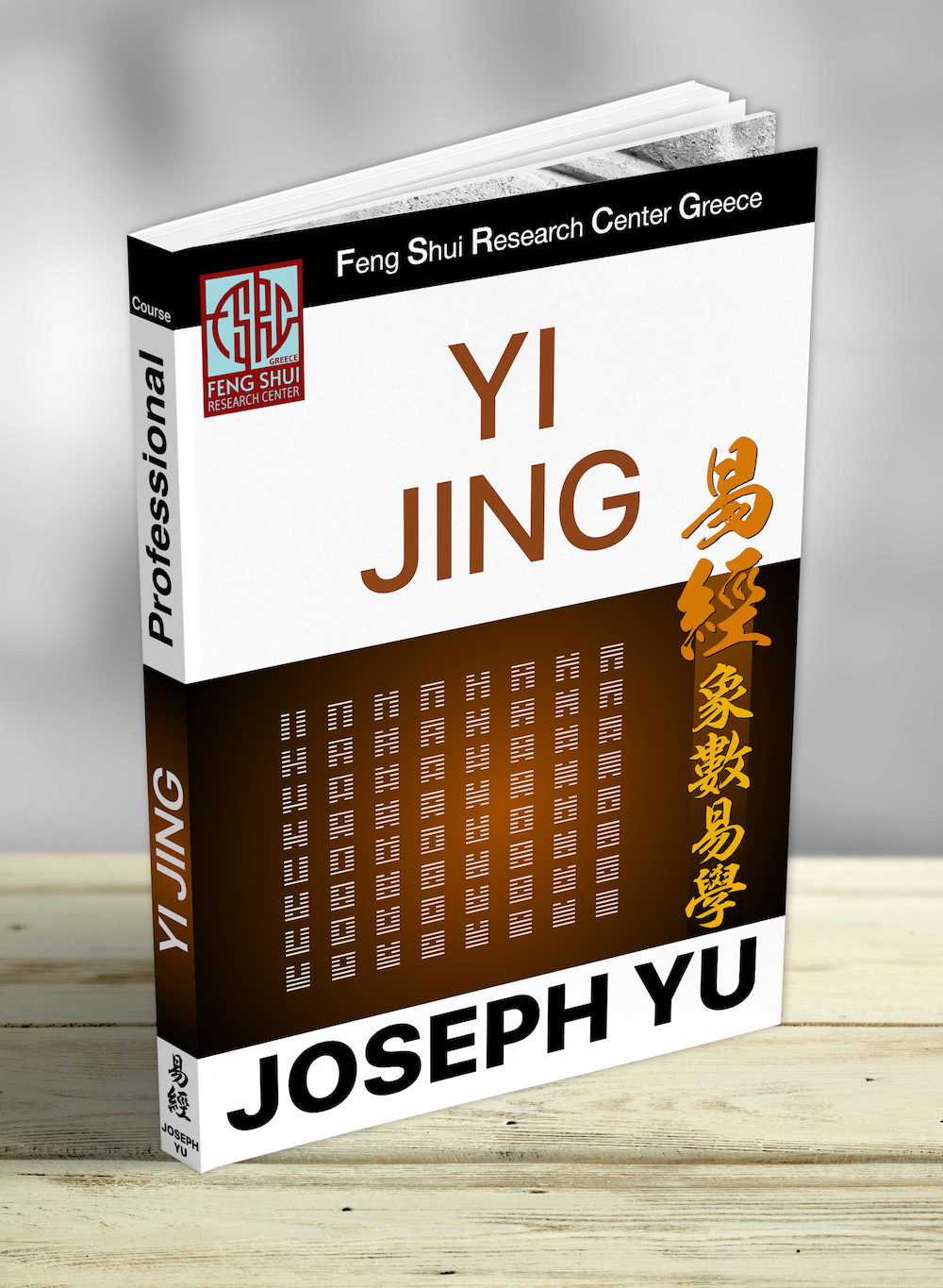 Ελληνικό Μάθημα Yi Jing Professional Βιβλίο