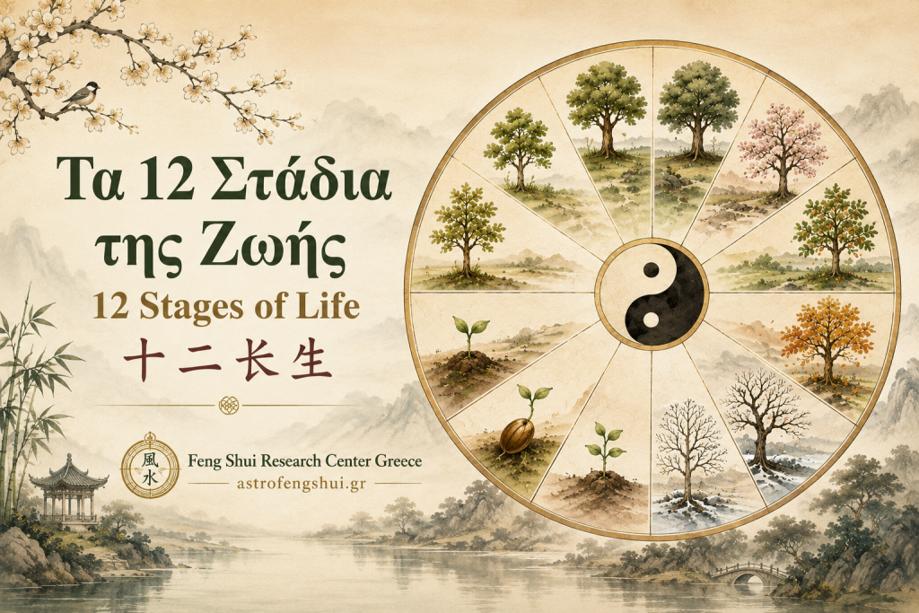 12 Stages of Life Cover