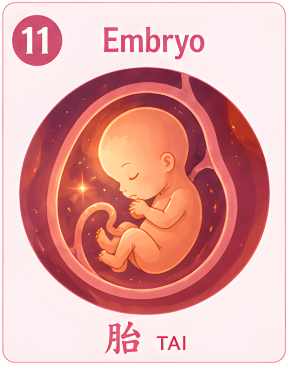 Embryo Tai Έμβρυο