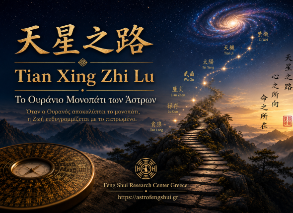 TianXing ZhiLu Course