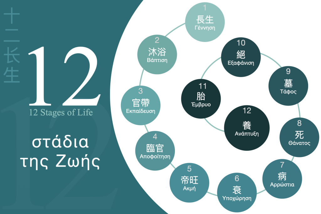 Twelve Stages of Life